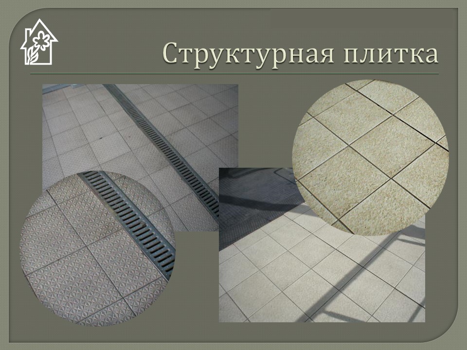 картинка О падах Blue Vermop Клинфотеки МИУЗа